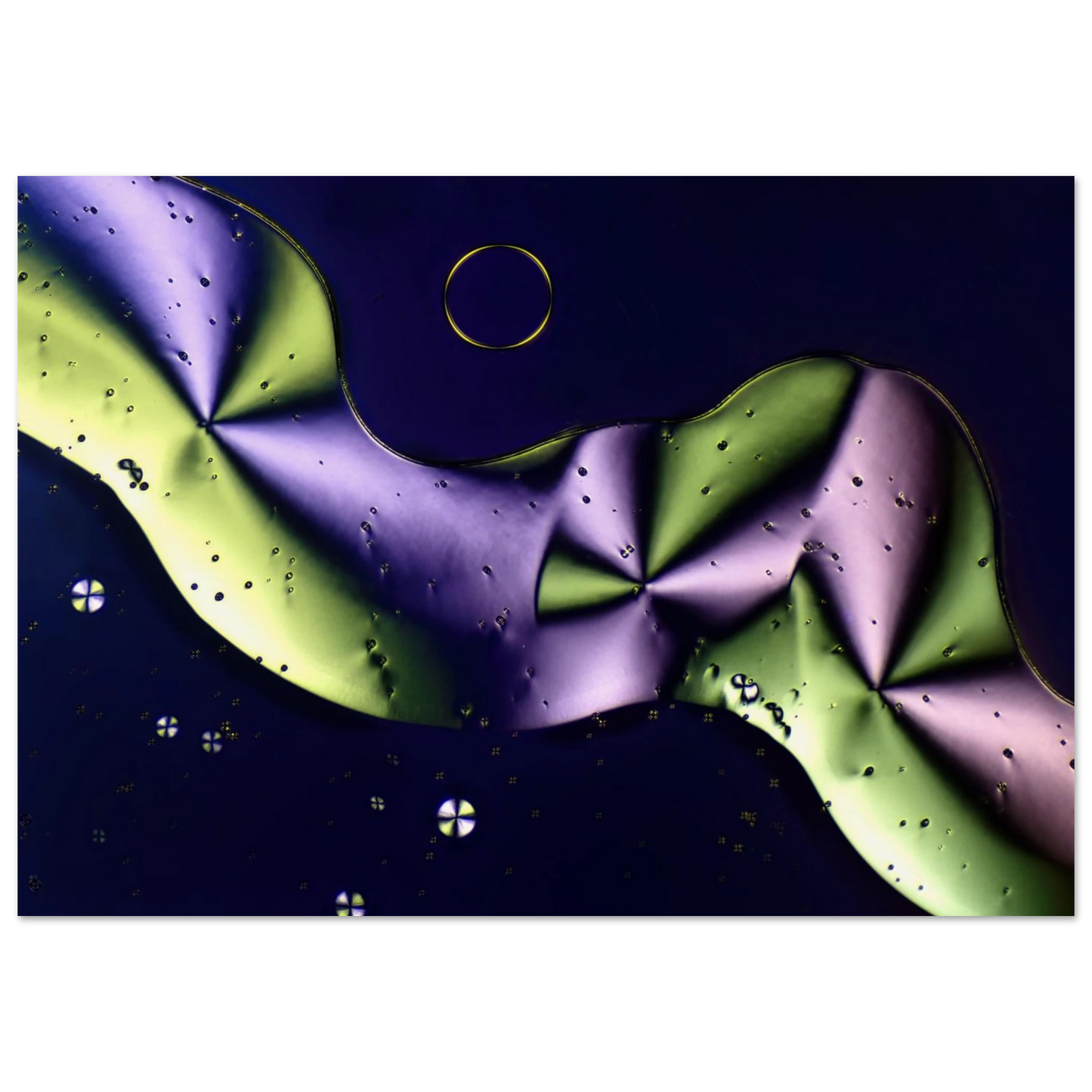 3a87548d-9391-4a02-b4b4-3ce29425483b