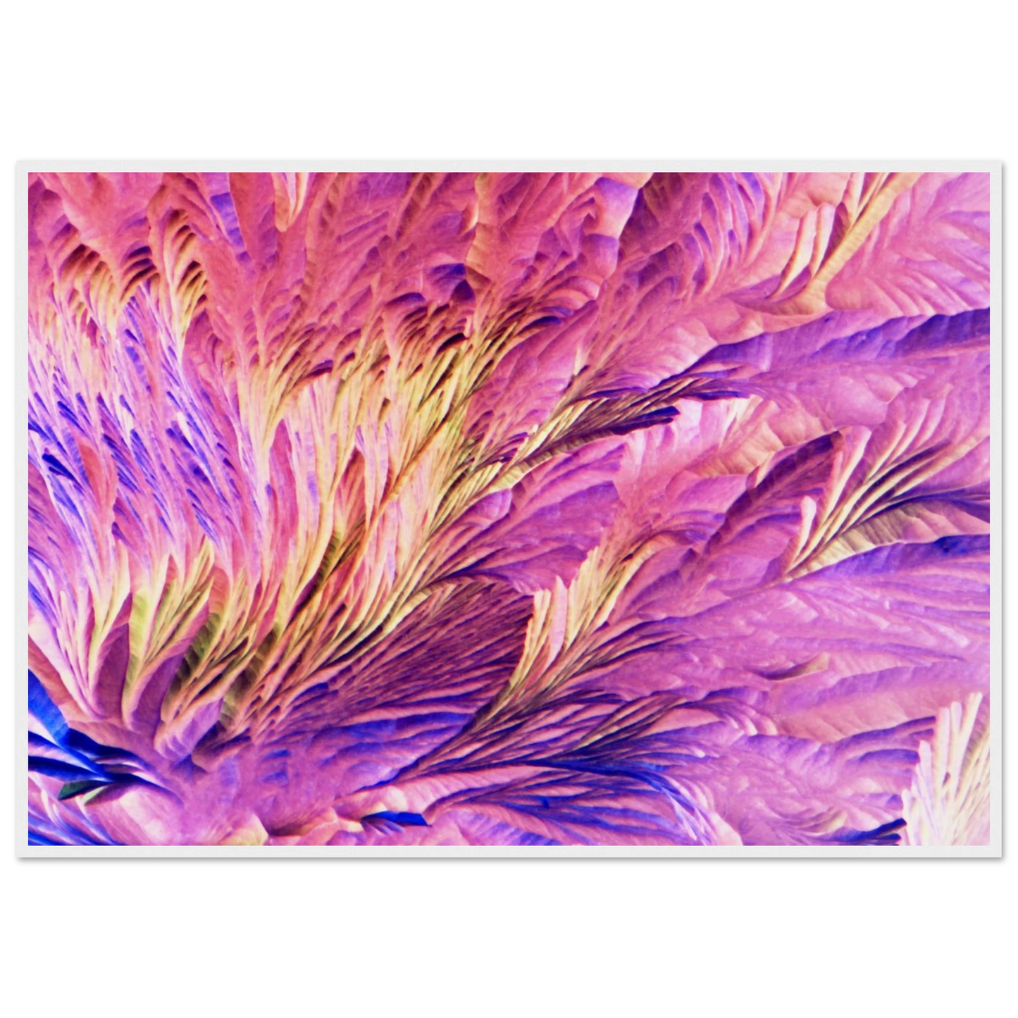 56ca541a-7851-49a0-b219-b2f5abf9f876
