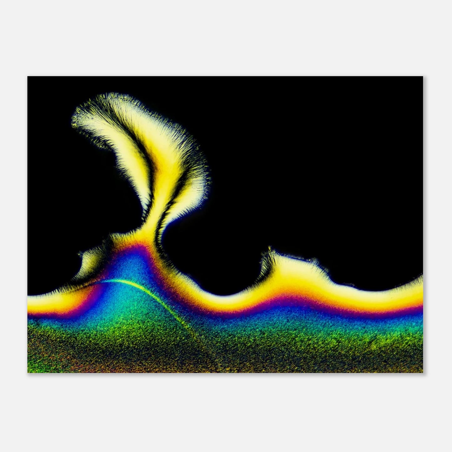 80815b15-82f7-415d-a525-e08bbd1a8ebb