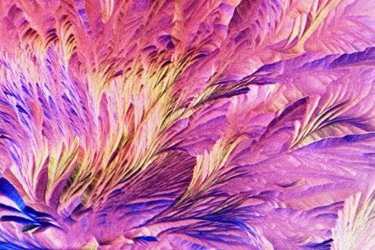 Beta Alanin und L-Glutamin Mikrokristall-Bild – digitale Mikrofotografie zum Download, hochauflösendes Motiv