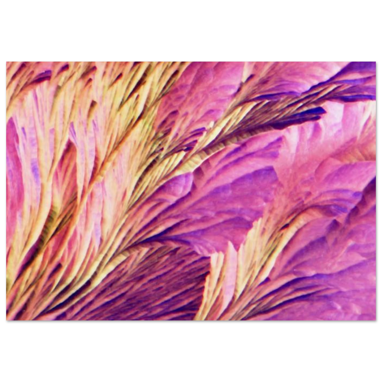 aeeecd01-93ed-4f14-abb1-ae44f04a4e47