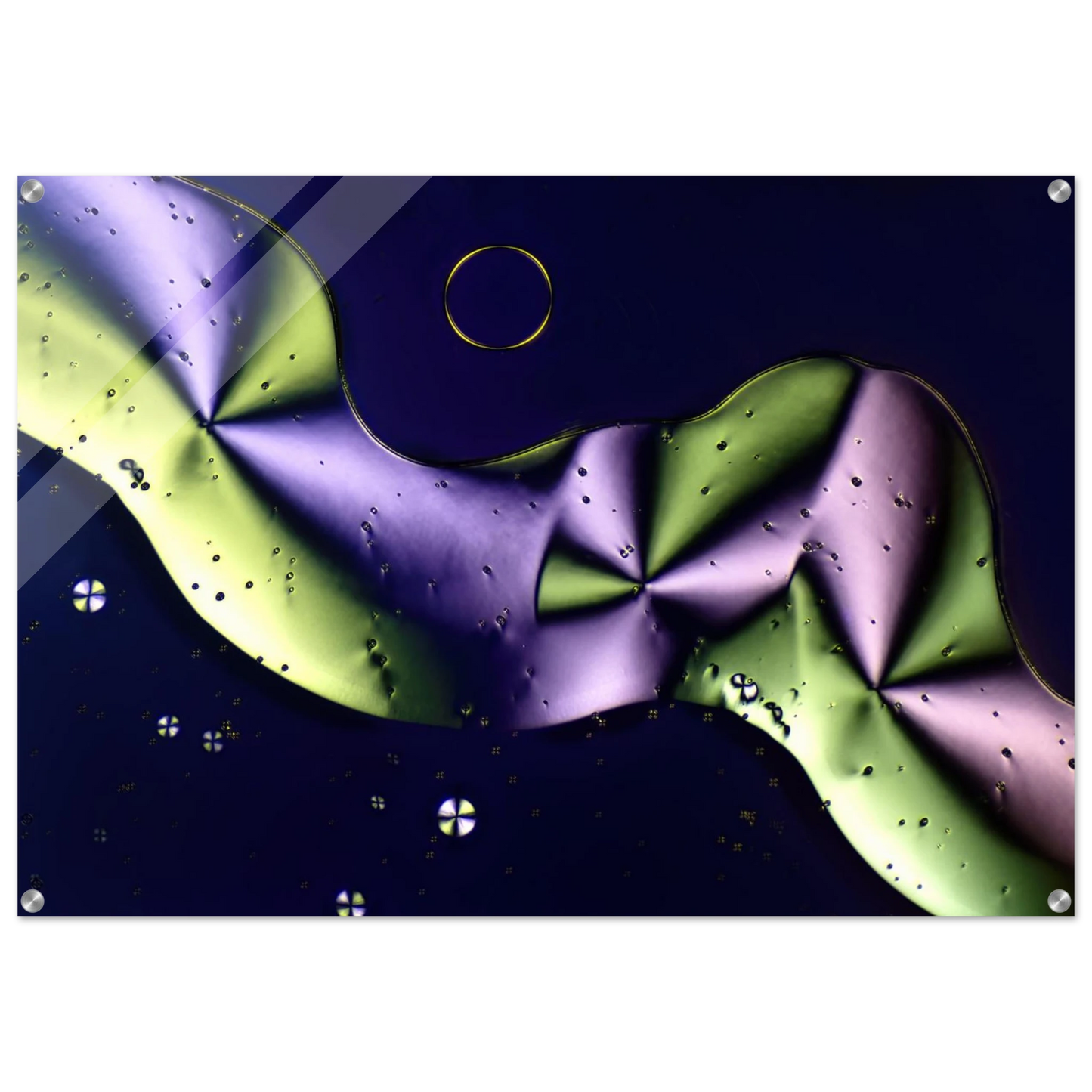 c5acf834-fb65-4766-93f2-04fb6a4ee225