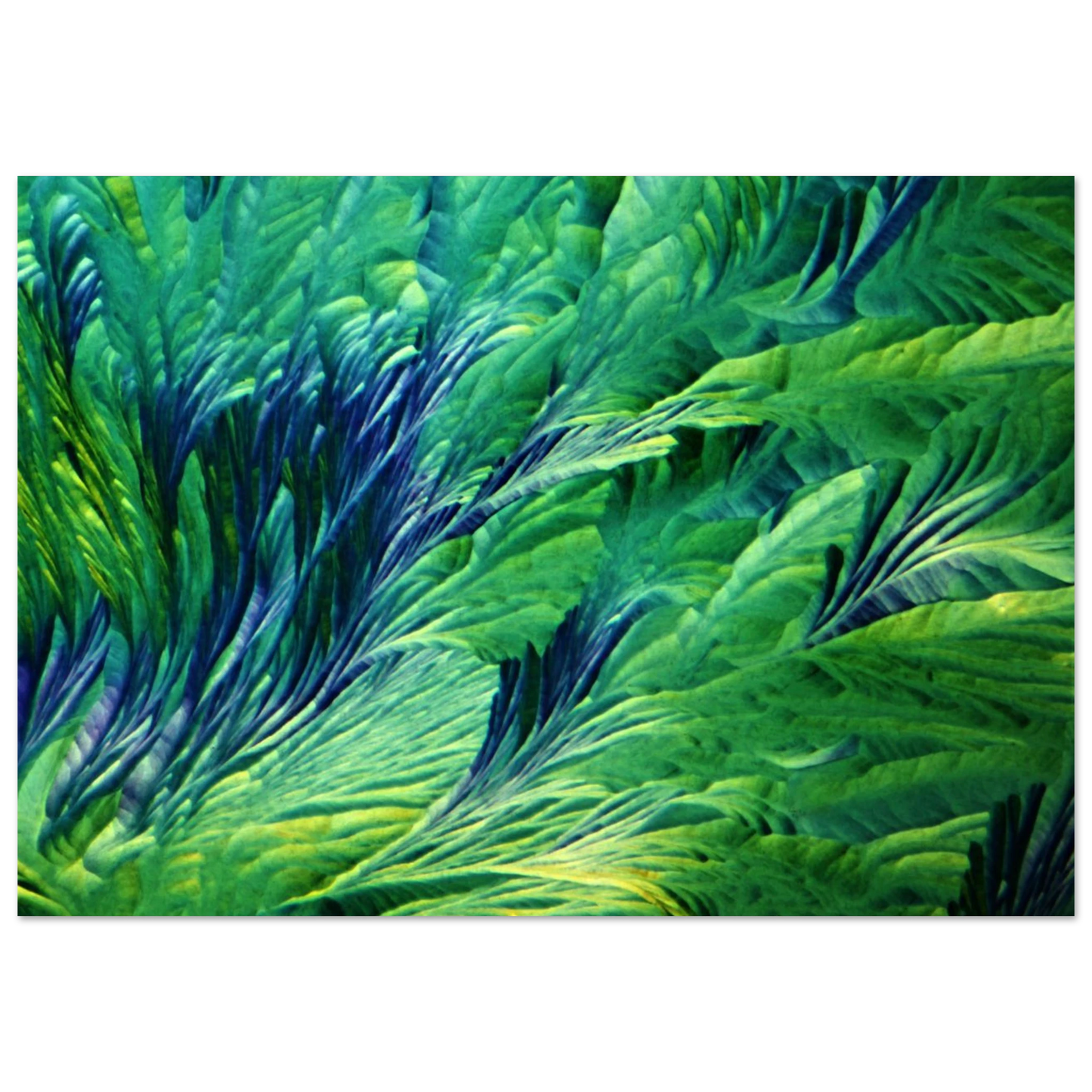 c693aae3-3f16-410e-ae97-be941cb29eff