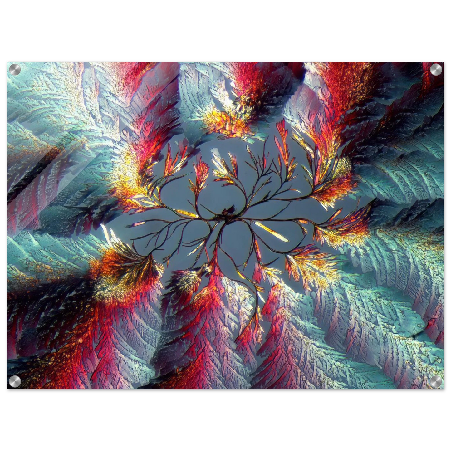 d36c19c3-cbbe-4354-ae8f-aa9a7f36a1ef