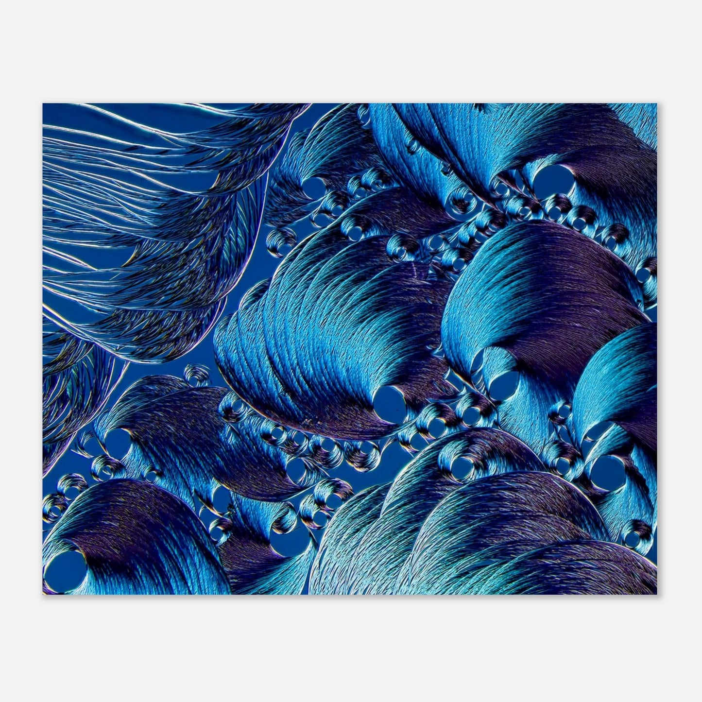 00a06087-a879-470a-af01-f36669b6dfed
