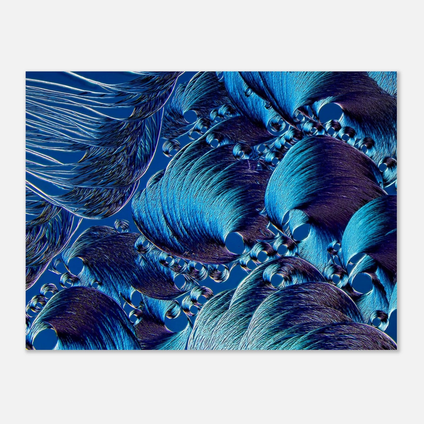 00a2f072-cbd8-4c9e-8ba4-31b3e005aa9d