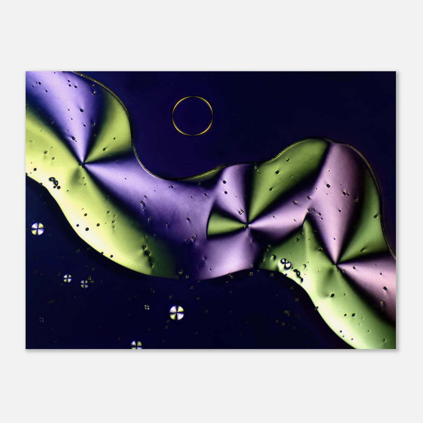 044be5ba-c0e5-4690-b23c-7400de0f9280