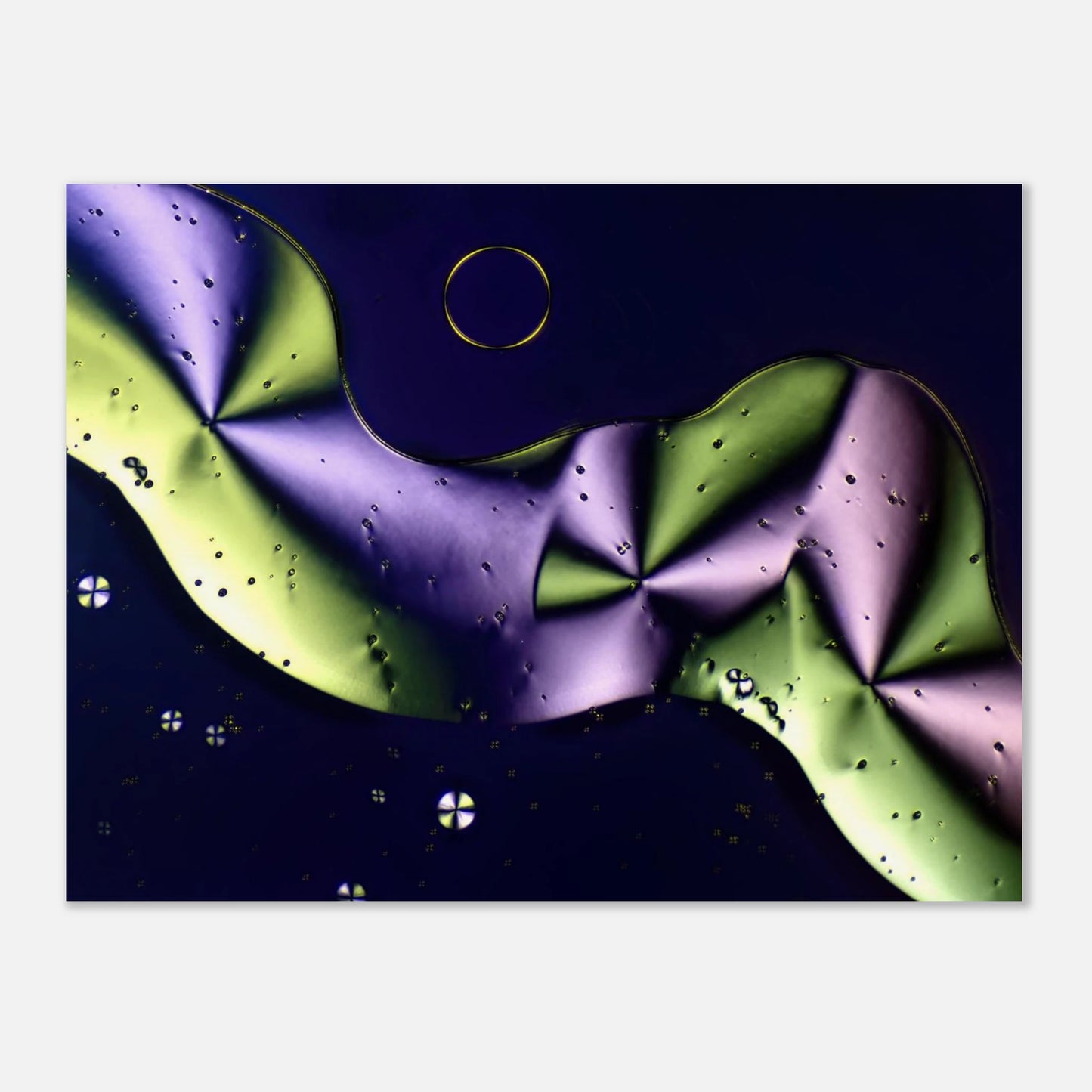 06ec5d35-2990-41a8-abcf-2765ca0df2b8