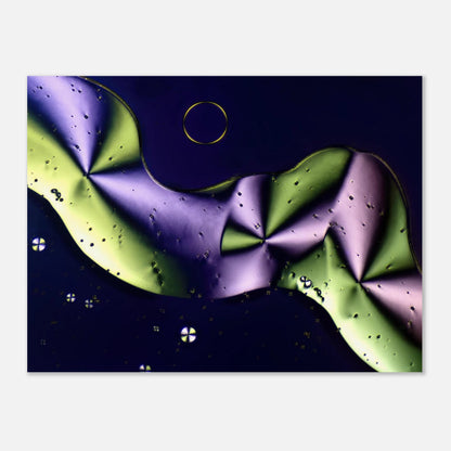 06ec5d35-2990-41a8-abcf-2765ca0df2b8