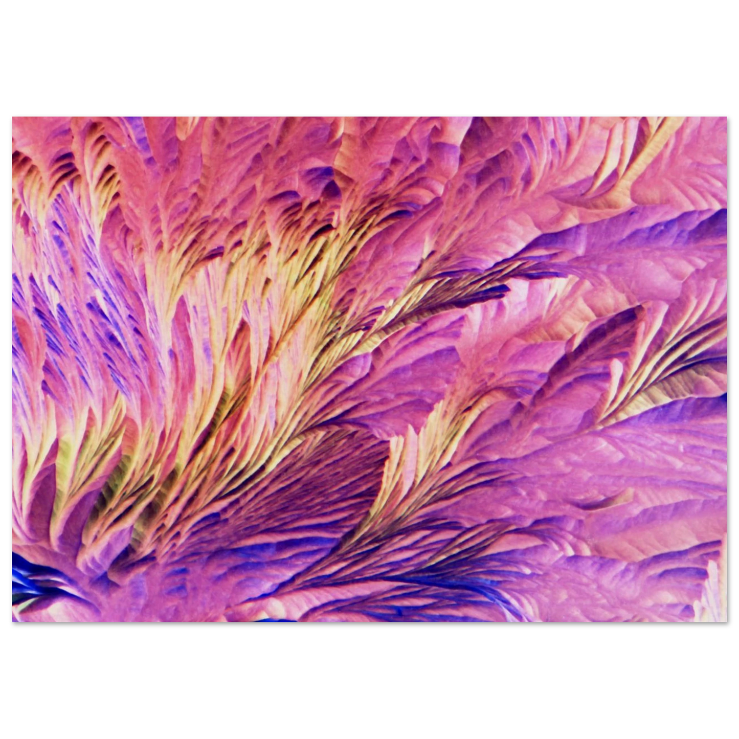 0b9145a6-76f0-4e4e-b2e6-98ae6503dd61