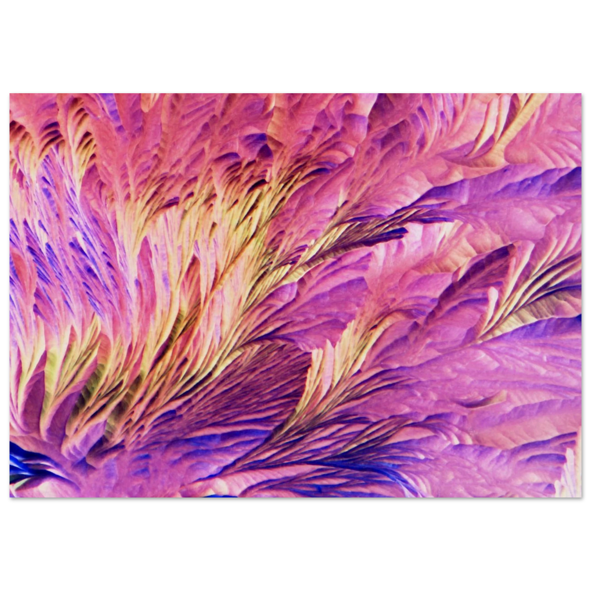 0b9145a6-76f0-4e4e-b2e6-98ae6503dd61