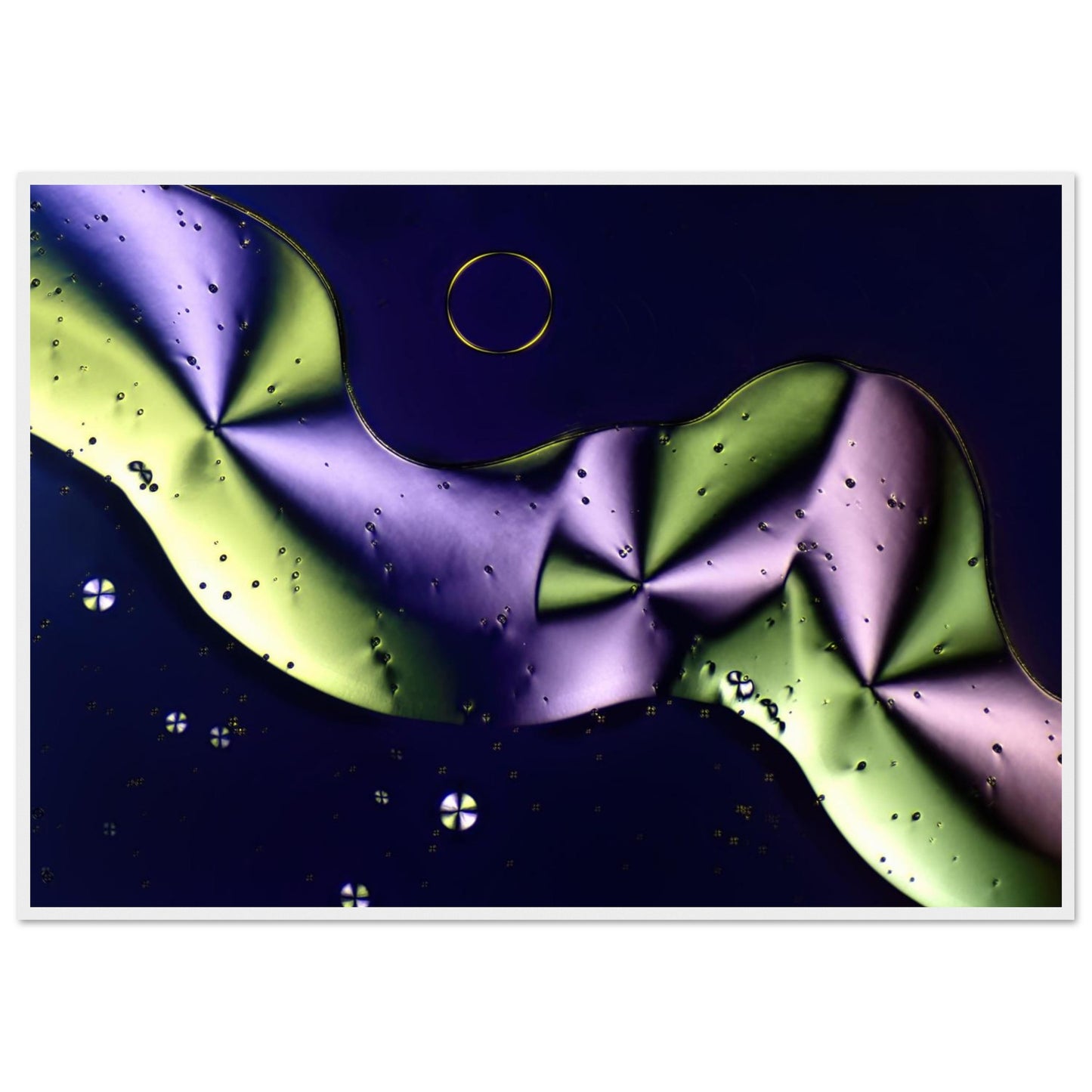 0ce1d877-474e-4ec3-9215-21ce418a6414