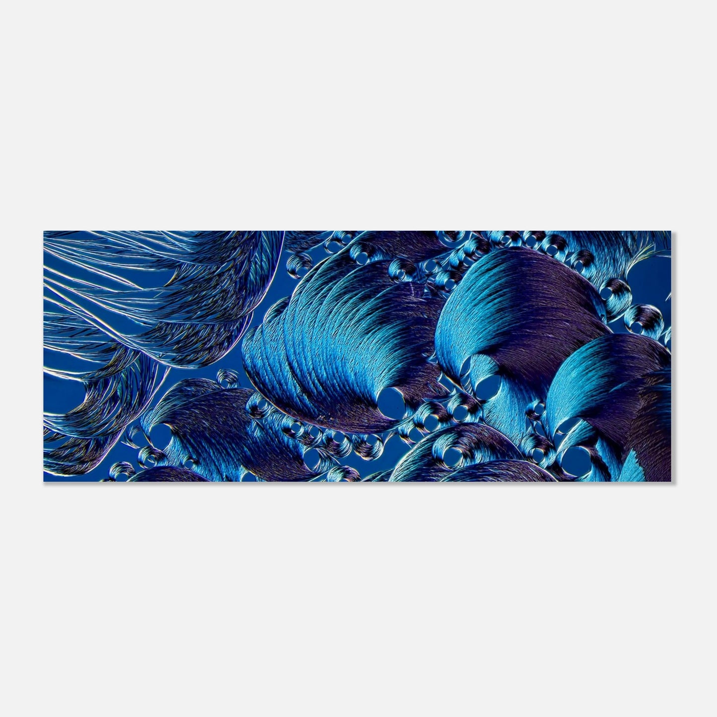 0f9ca2c3-deeb-4ae1-839a-aacde5dc49bc
