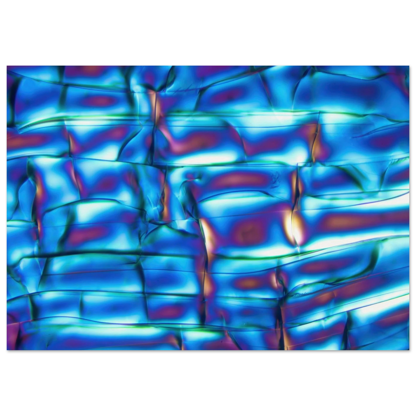 12e20b57-093b-4876-8050-09b79420d33e