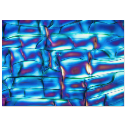 12e20b57-093b-4876-8050-09b79420d33e