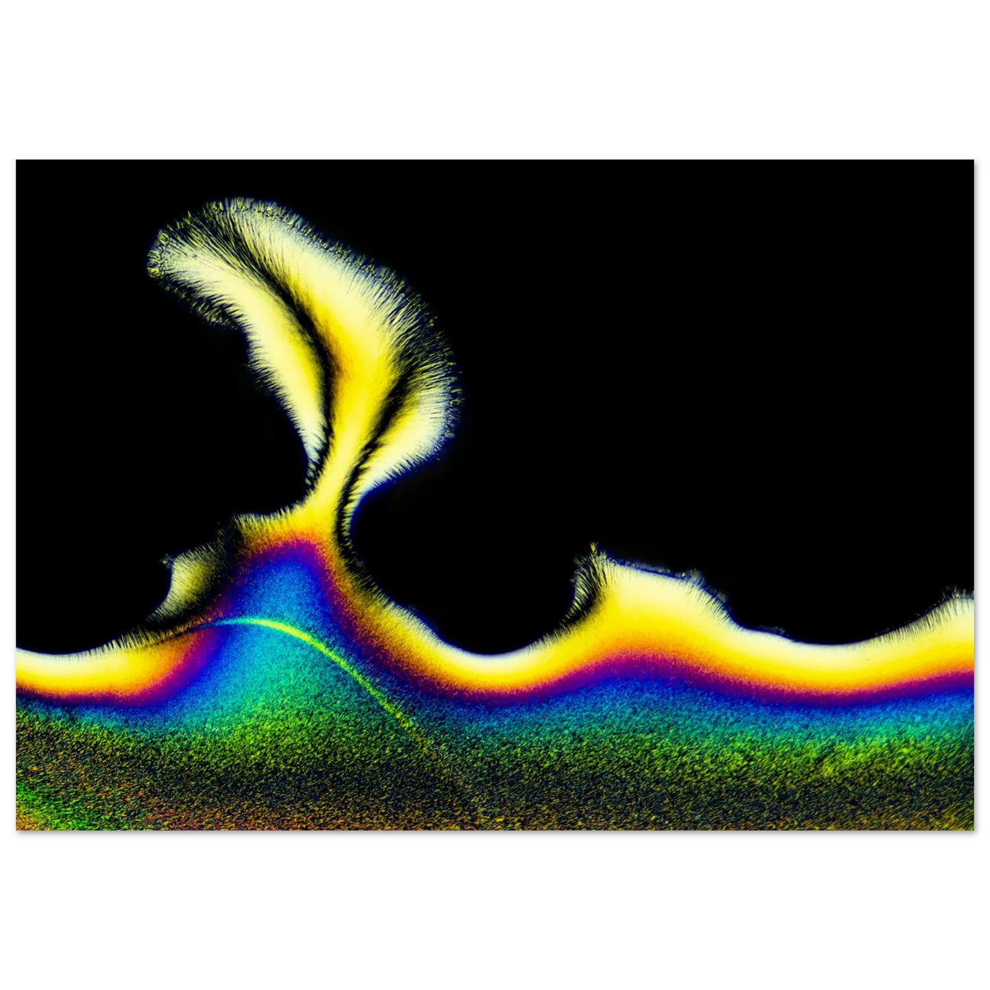 131b3a9f-a0a2-4c7a-88df-4788199c661e