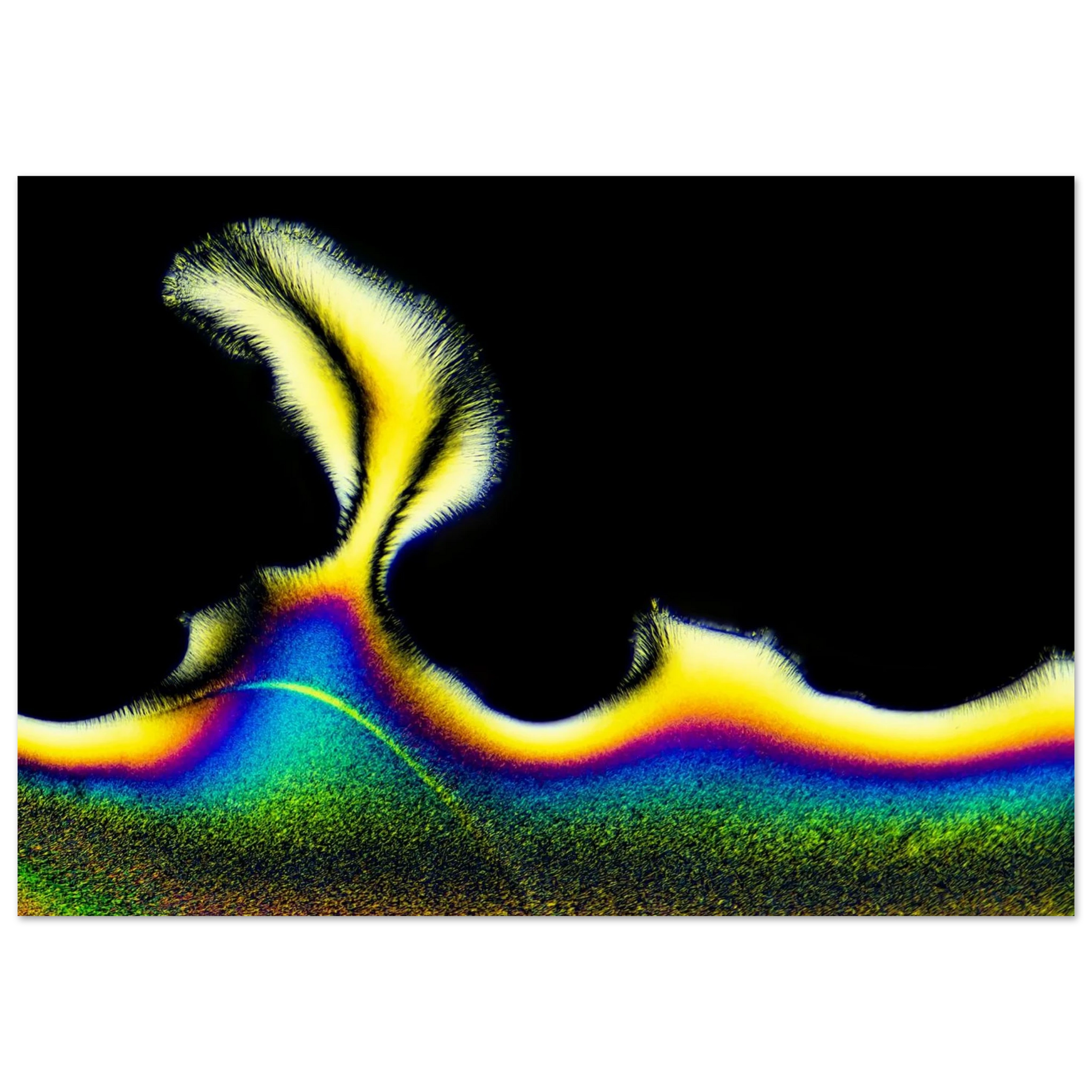 131b3a9f-a0a2-4c7a-88df-4788199c661e