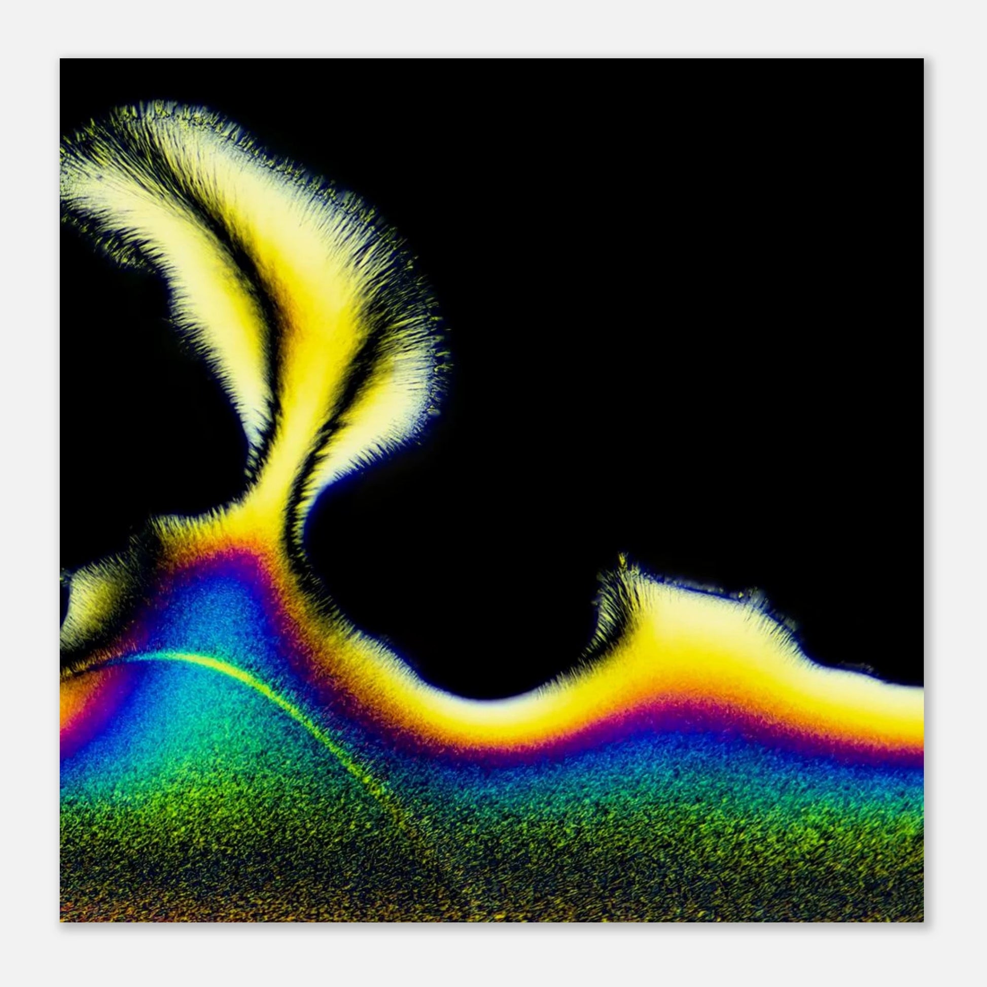 1d033614-96e9-4e73-ab57-35617c87e635