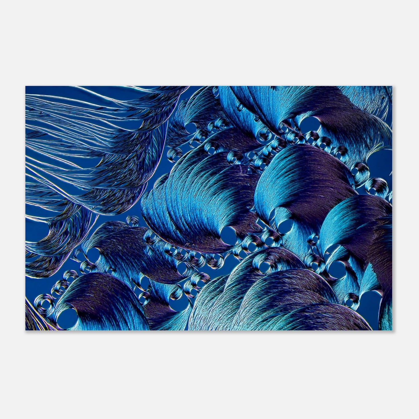 2544c520-0d07-4708-8fe3-1ab7702da6ab