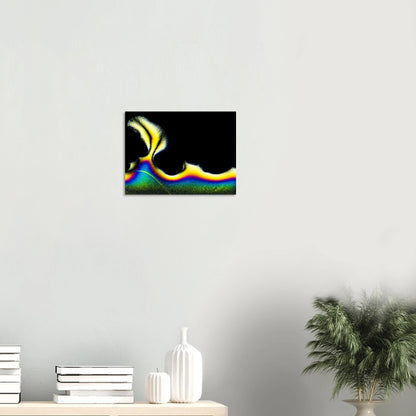 2f619a9d-bfdc-4805-ac2d-aa5daa700bc4