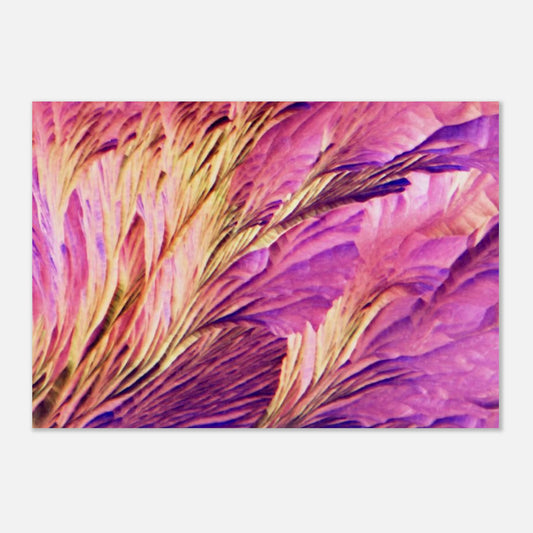 2f65fc7b-b83c-42bf-8586-834416219b54