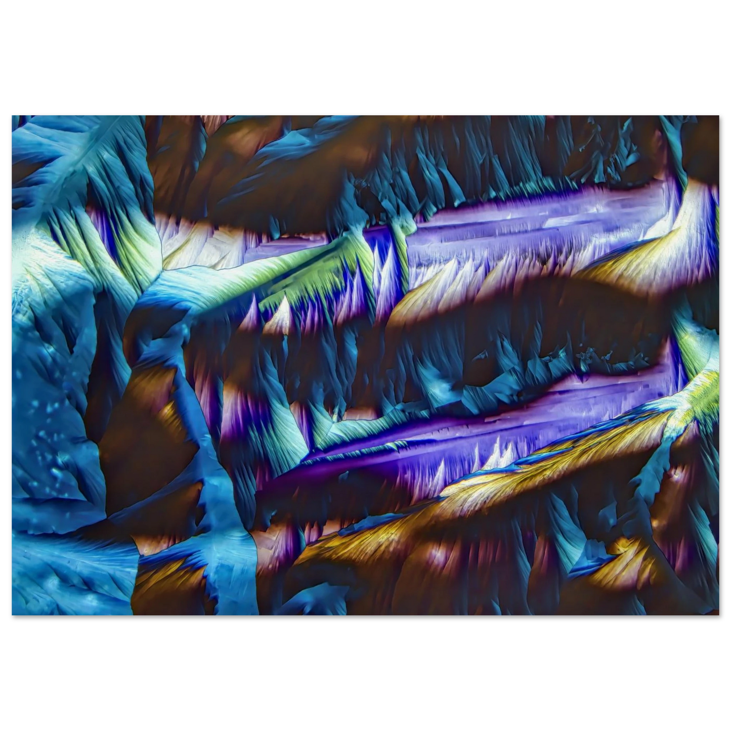 305eb884-9735-4fc0-88d4-01c4ddc1a775