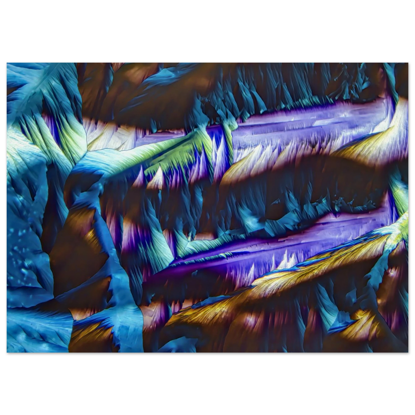 313abf91-4627-4c3f-bde7-1a765dcae671