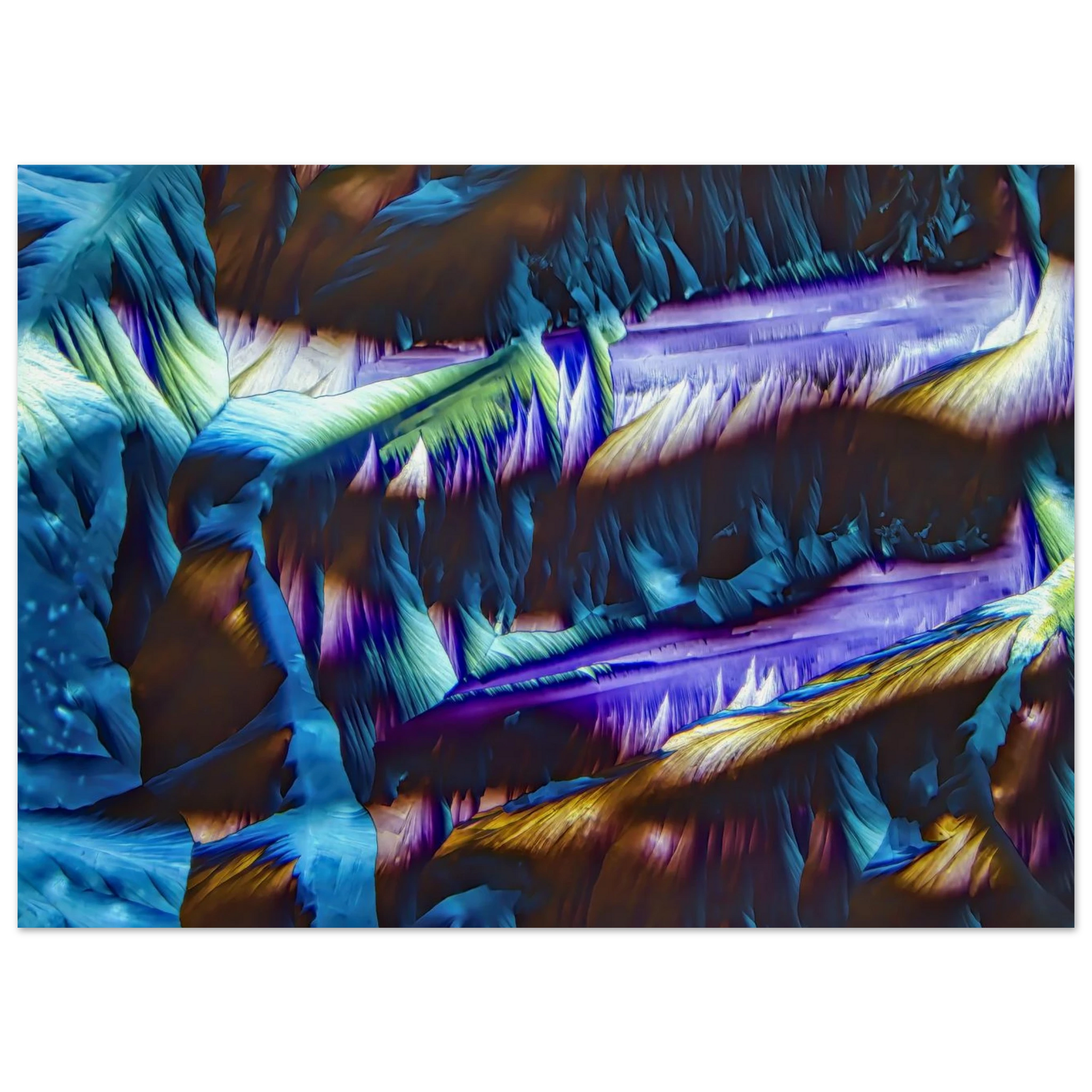 313abf91-4627-4c3f-bde7-1a765dcae671