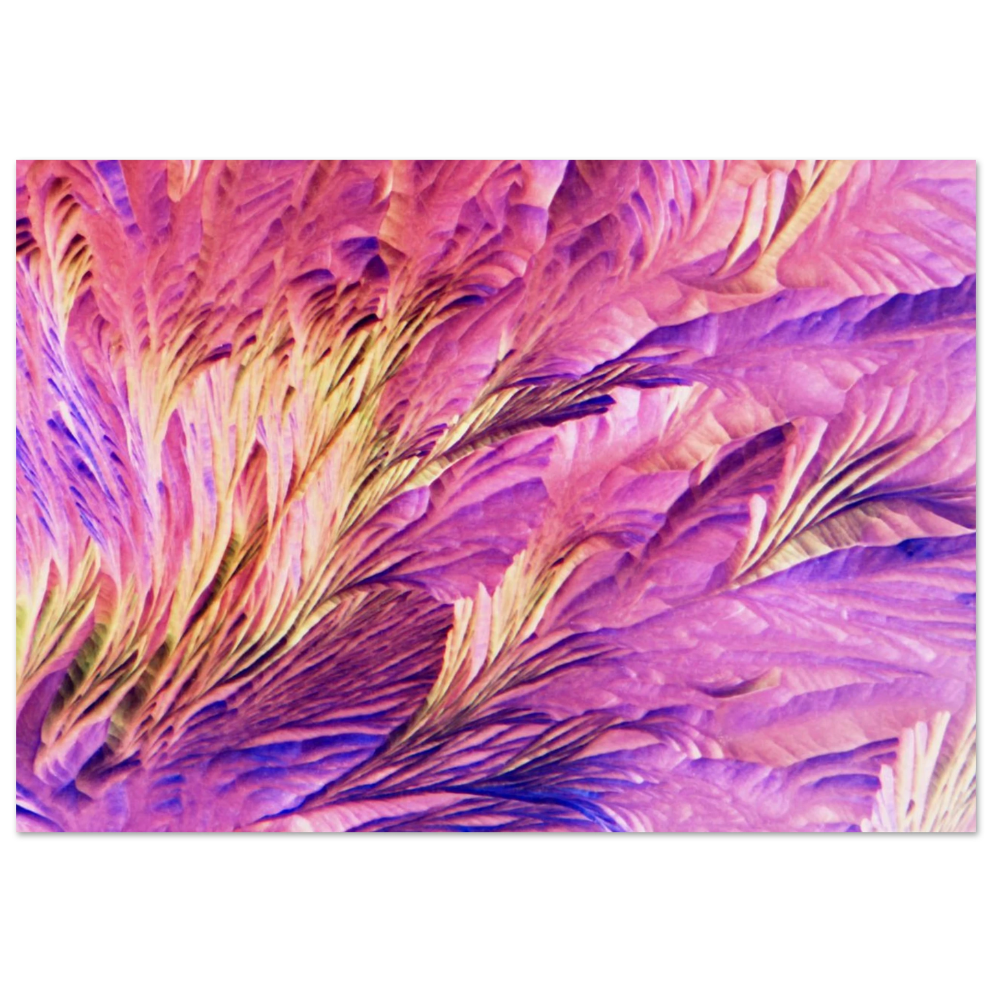 32a2dcc0-7346-4a60-a84a-78295a34df3b