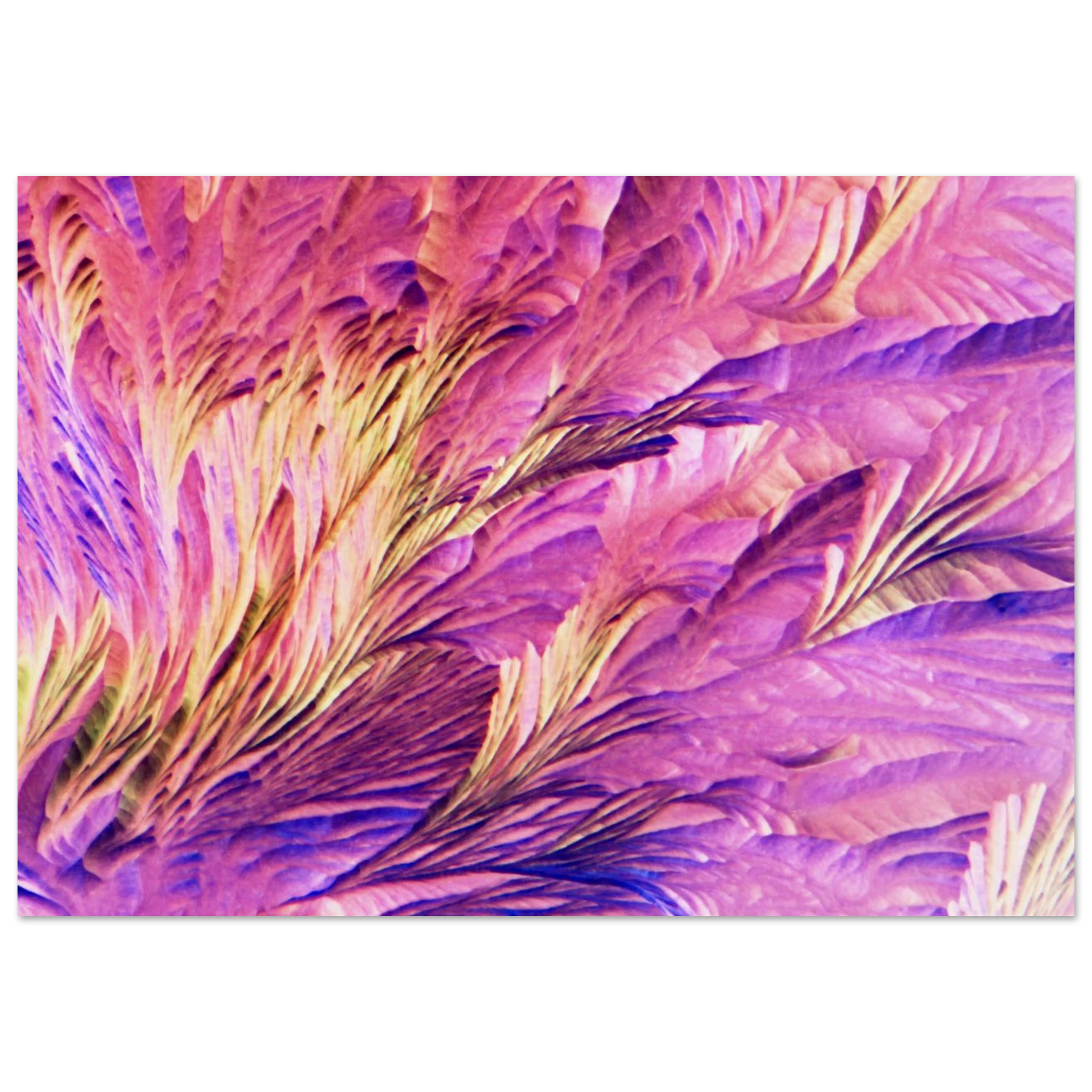 32a2dcc0-7346-4a60-a84a-78295a34df3b