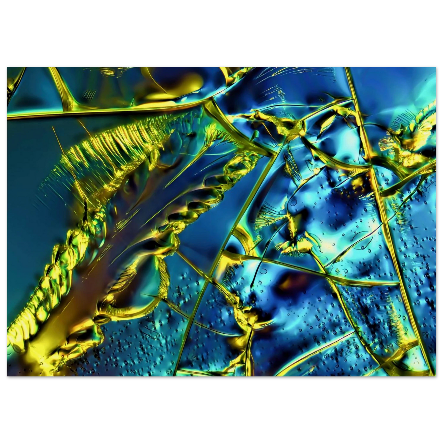 341b73a1-223f-4b0d-affa-be5dbeb66610