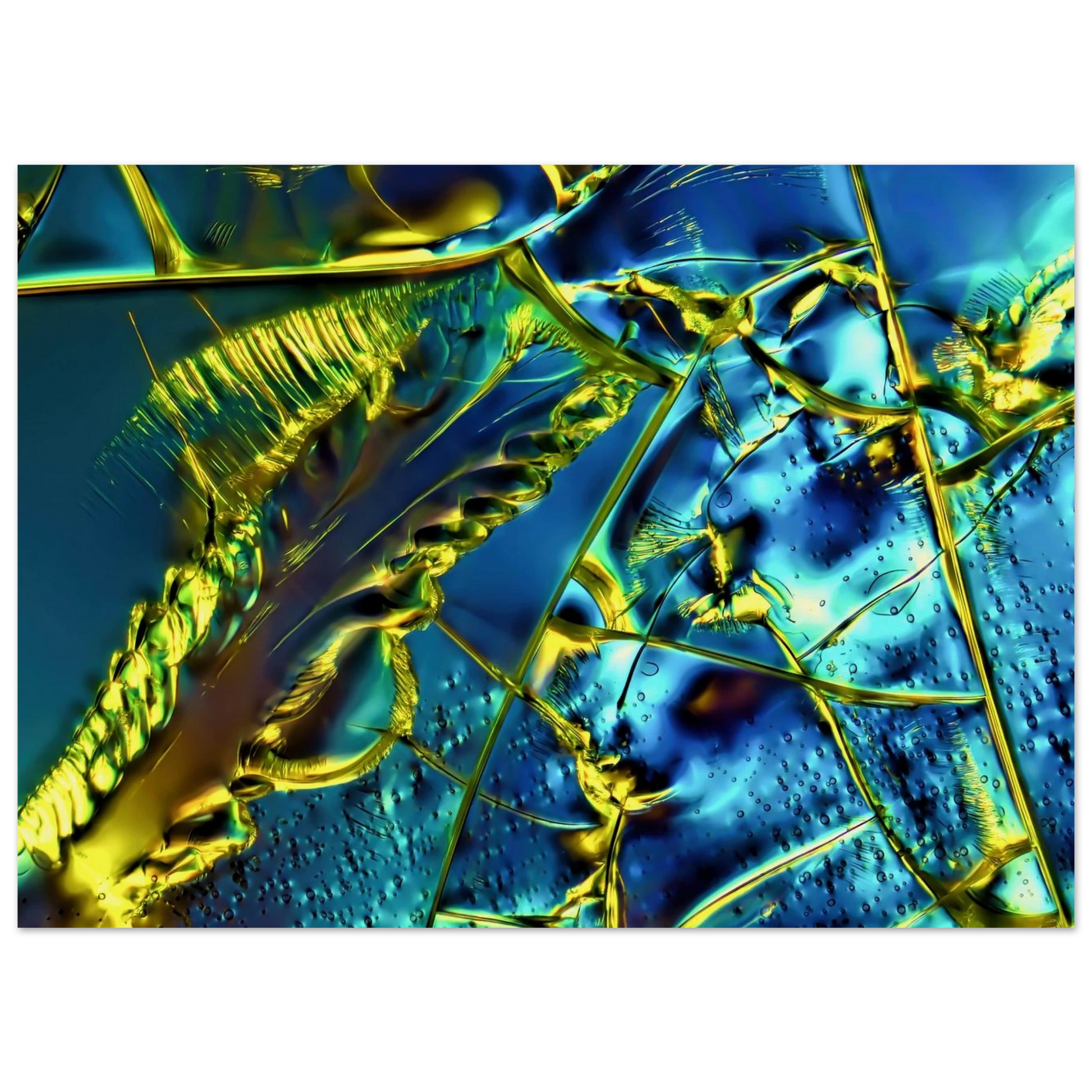 341b73a1-223f-4b0d-affa-be5dbeb66610