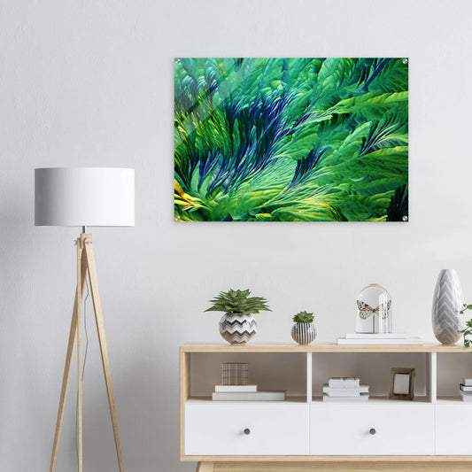 36cb9480-c601-48ea-ad88-e3b56828a1ad