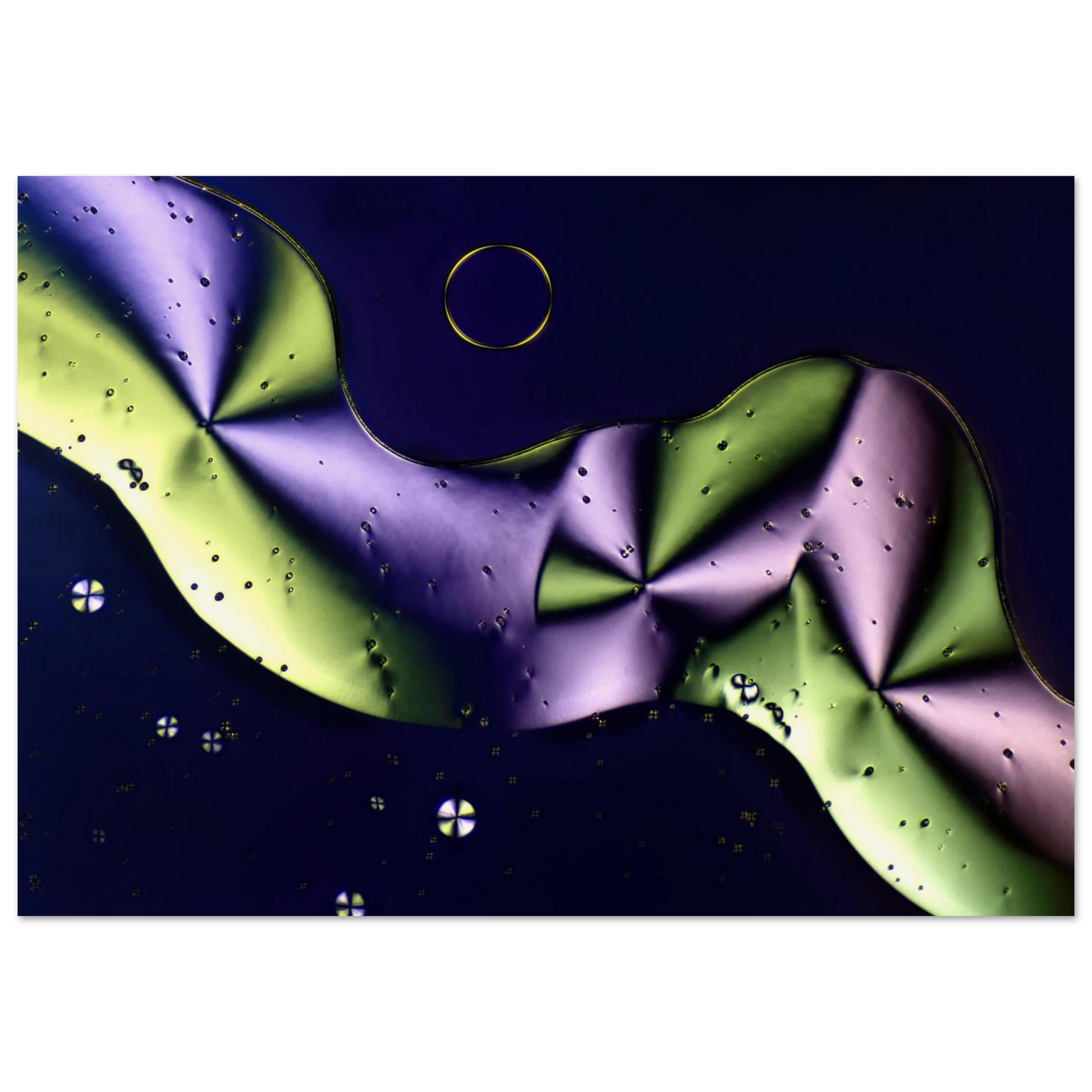 3a87548d-9391-4a02-b4b4-3ce29425483b
