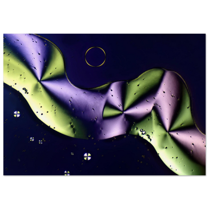 3a87548d-9391-4a02-b4b4-3ce29425483b