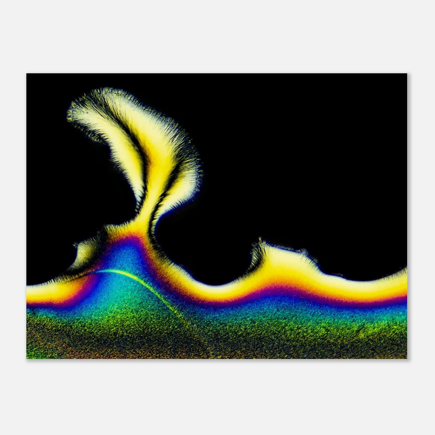 4334c230-5040-4dcc-a709-1efc8fc368c6