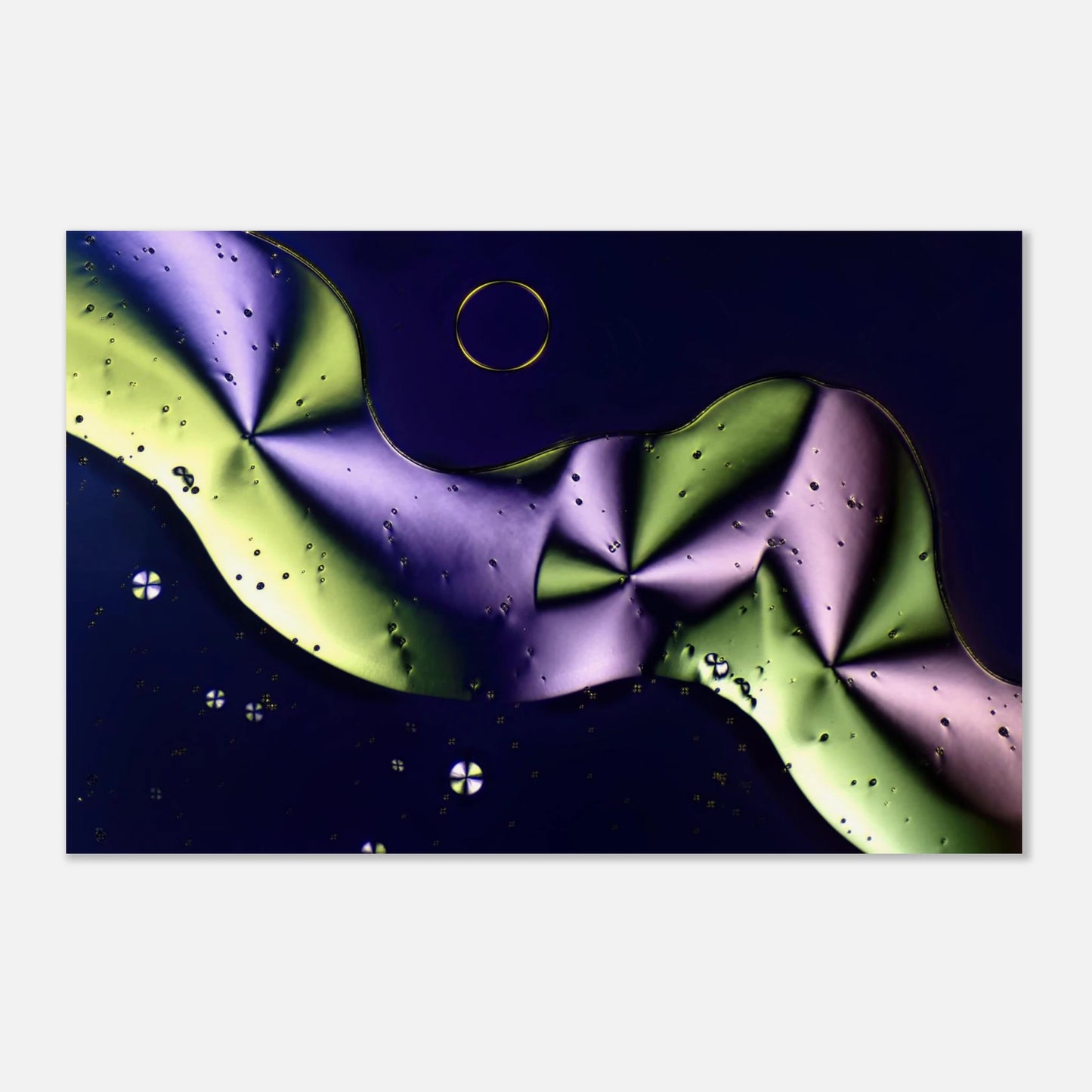 458b6143-2104-4bc1-aba7-edd482d85106