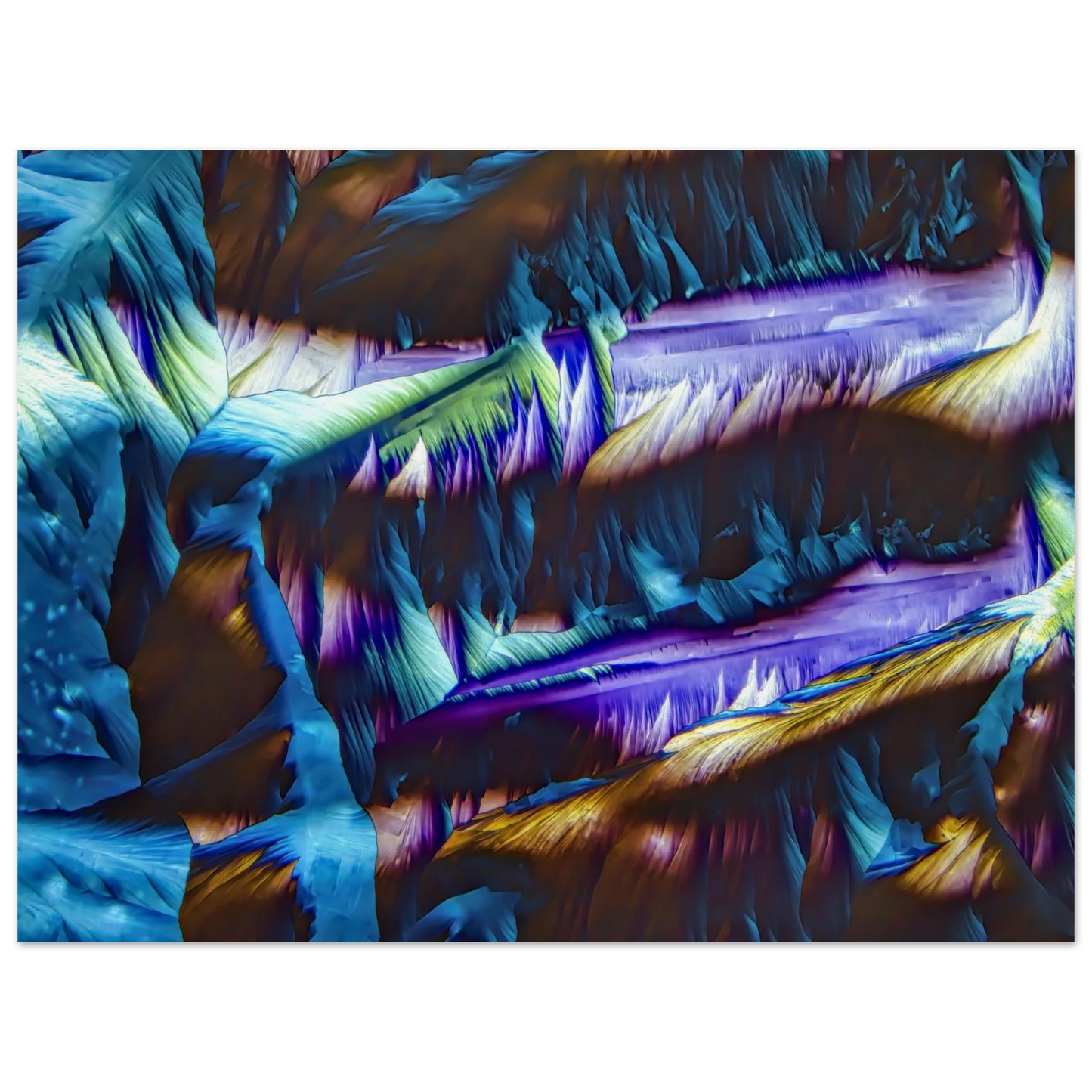 49a92b01-59fc-454b-a512-2eb71b4fbd39
