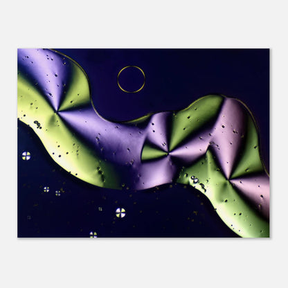 559e89ce-a967-4829-8188-3a21d14c5ce6