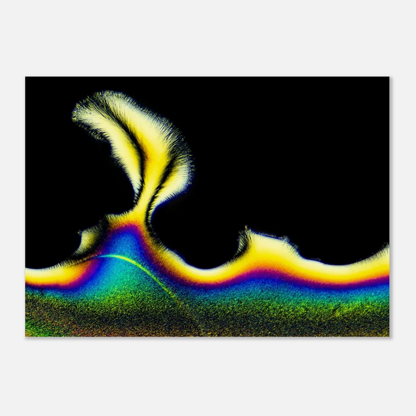 5c50d9bb-4ffe-46e2-9fbb-662ca5e72d04