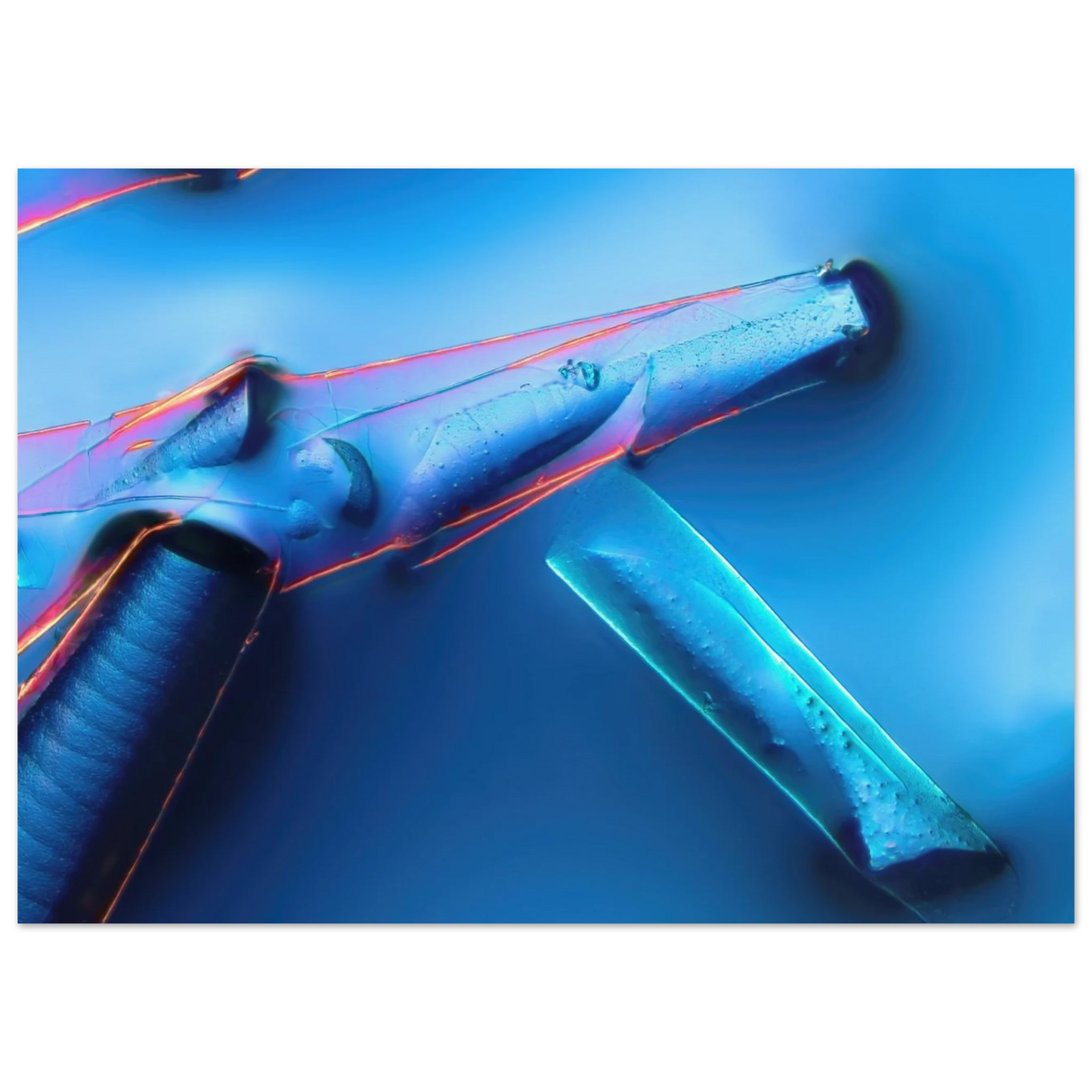 5e2ad741-0611-4e67-a9dc-d0c4fa613bc9