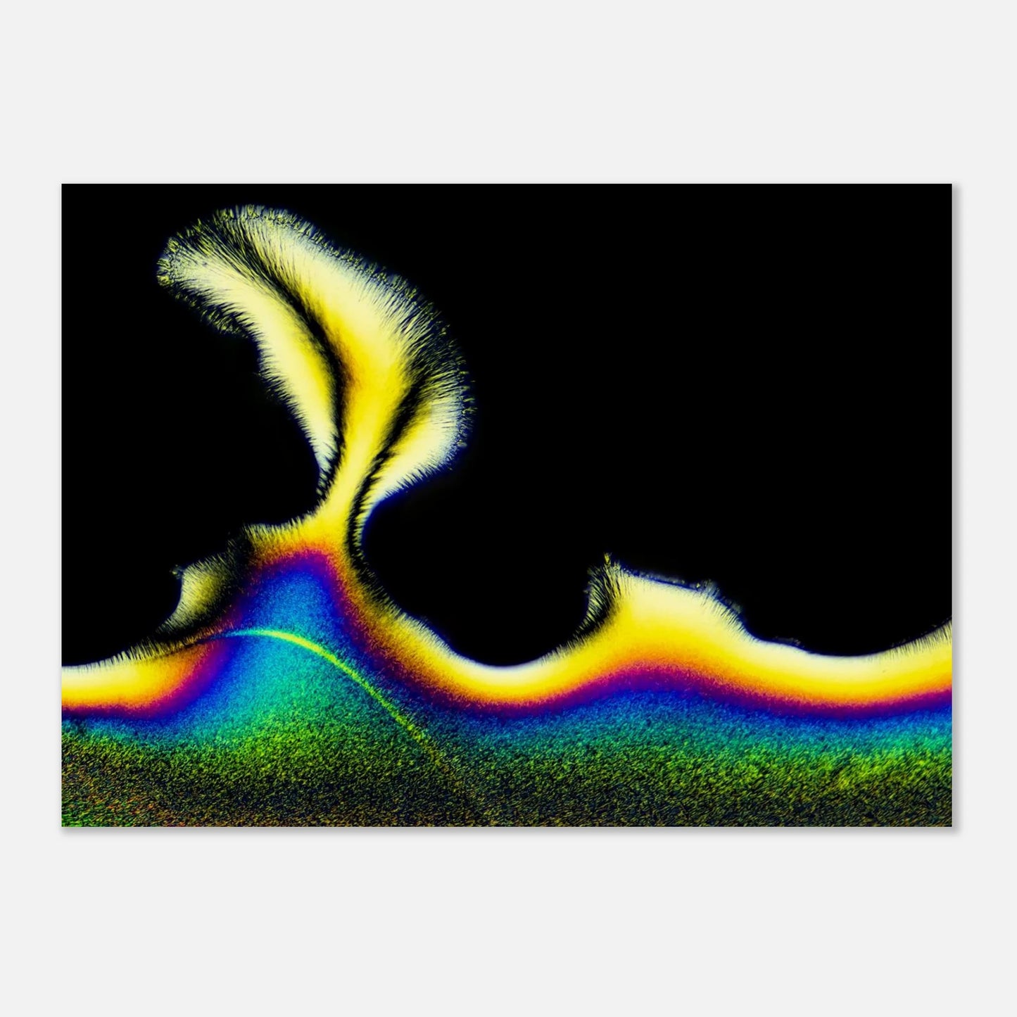 62639845-1d8b-4c1b-bb80-6f53d541a177