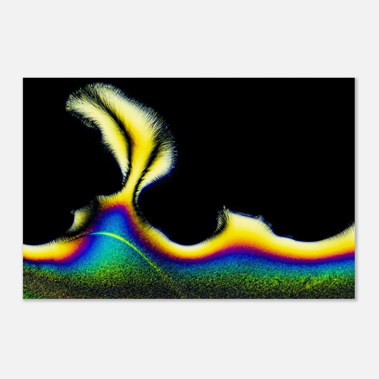 641a9f1b-971c-42ec-8746-0024660427f8