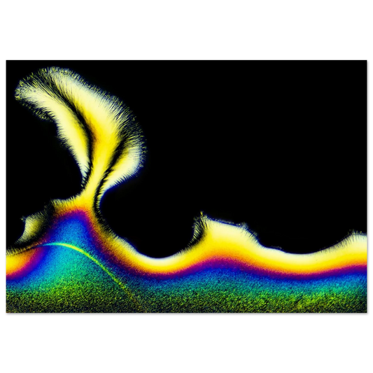 6436c385-d91d-428d-9e8a-5013b5f2dfca