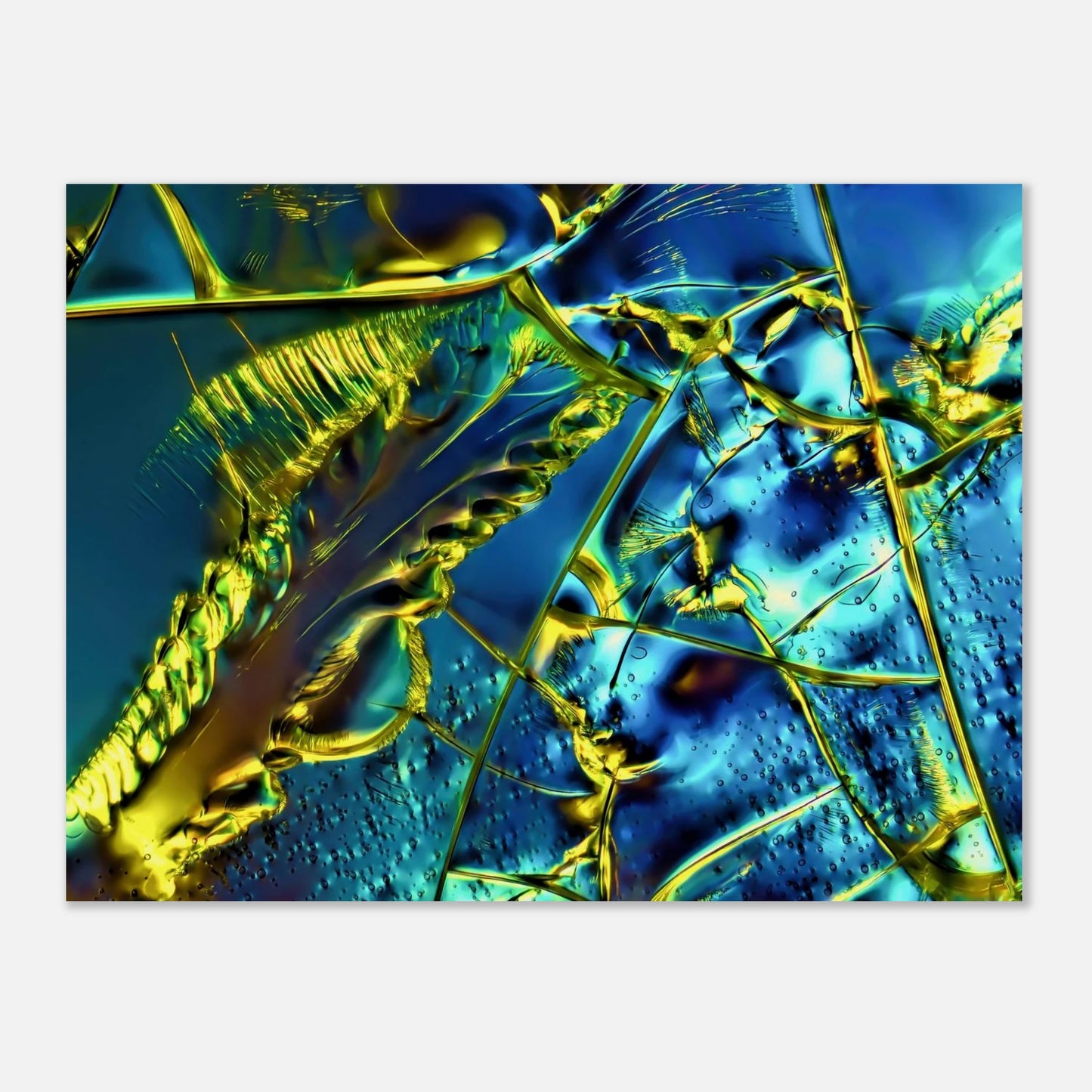 650474f6-40c2-4ec2-a306-d04507dd0716