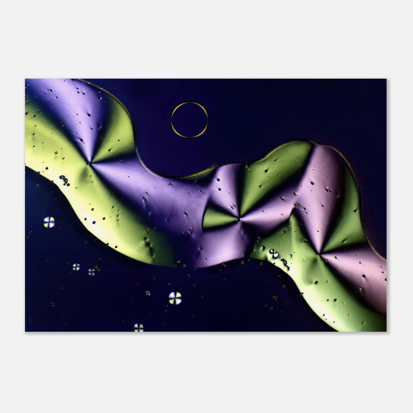 6b7f6529-aa11-4048-a2fa-86e00ef847a7
