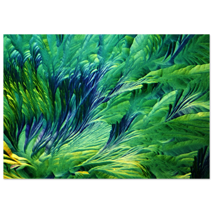 72e4406f-b9fa-4aaa-8f4b-74c7d3a06ed1