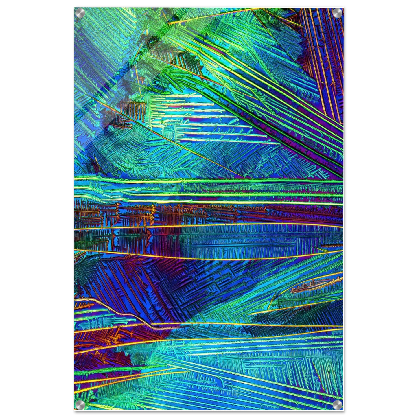 7869b822-b83e-4213-8f35-c9bbce0211d7