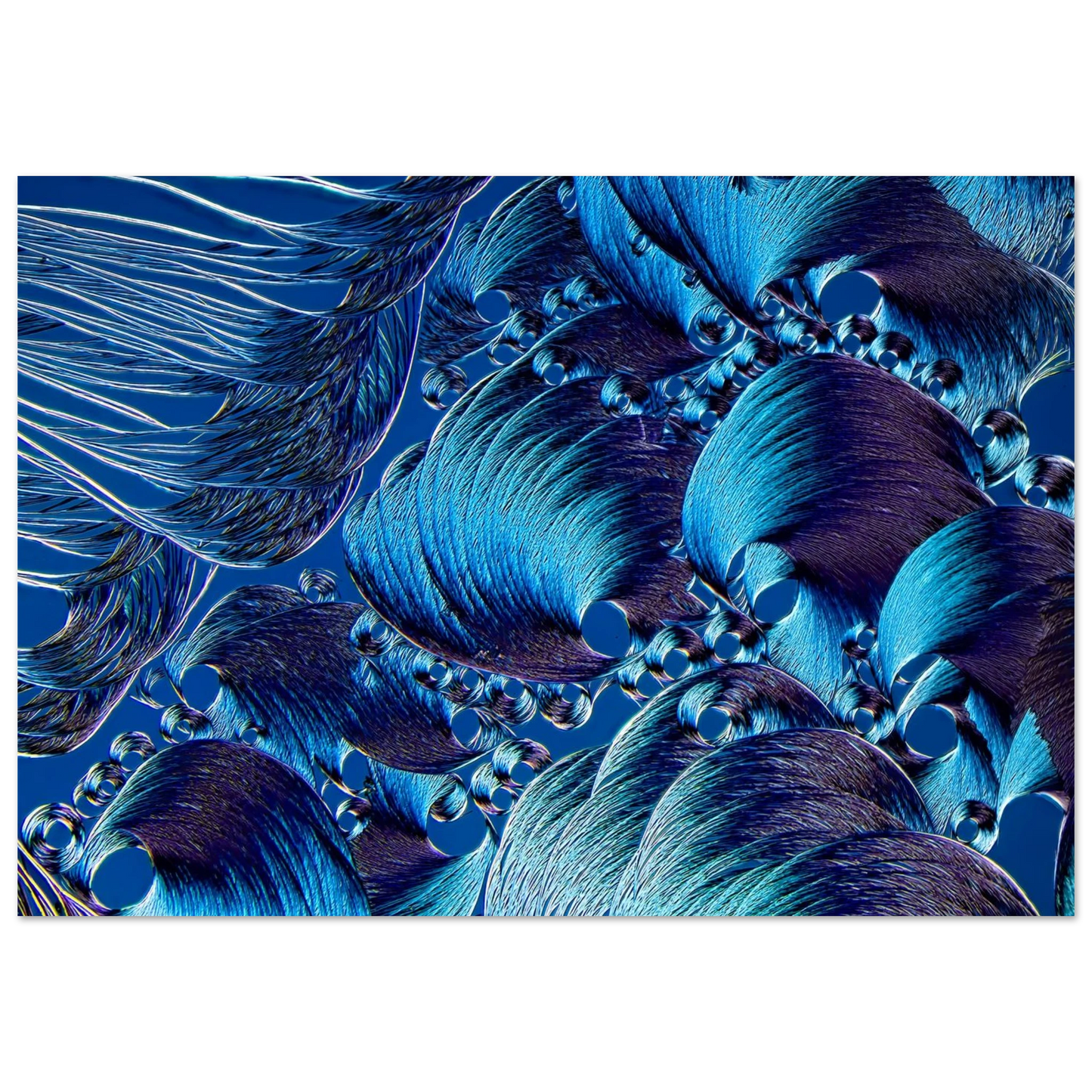 7a7882b4-9fbd-4046-bb39-6074a7df31c6