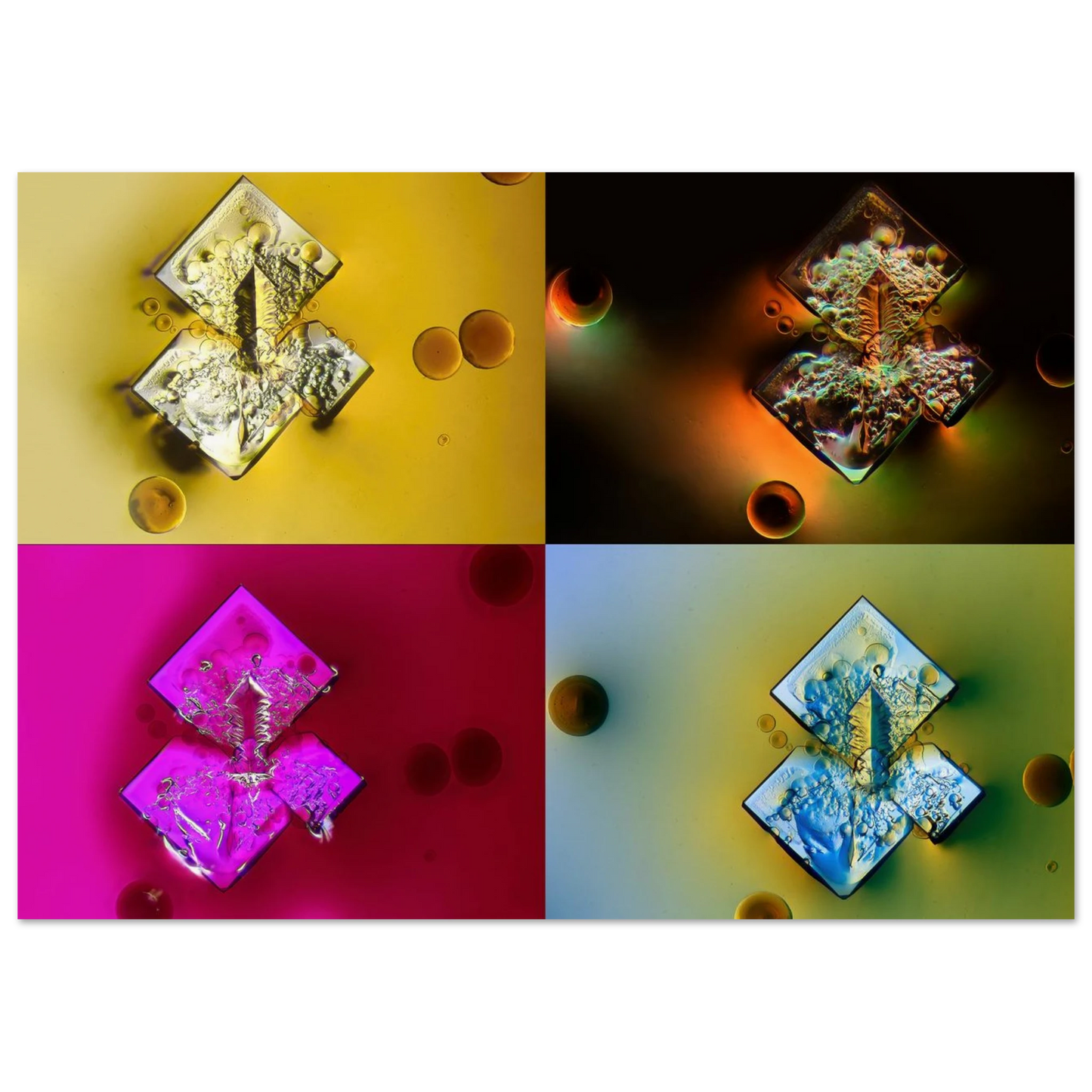 7b1ec9b8-b10d-4018-a49c-05e9f0a1fbc6